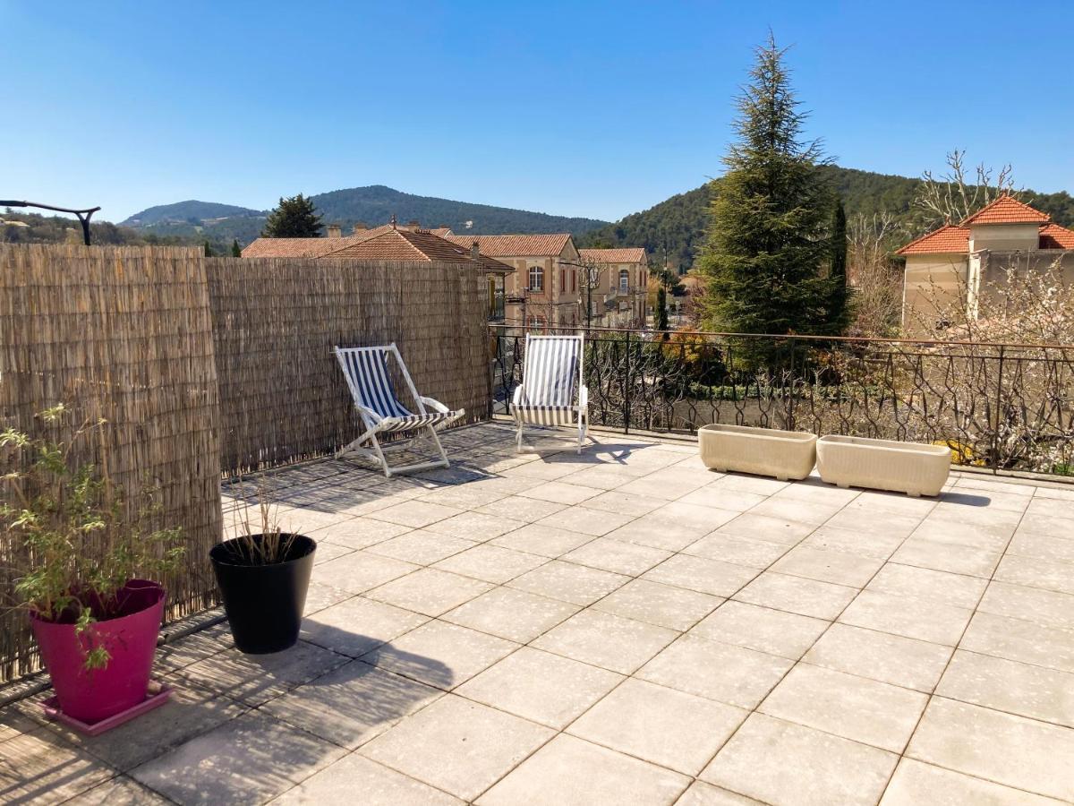 Bel Appartement Avec Grande Terrasse Sud Vaison-la-Romaine Exterior photo